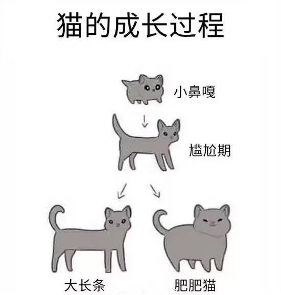 via Mr.Yan