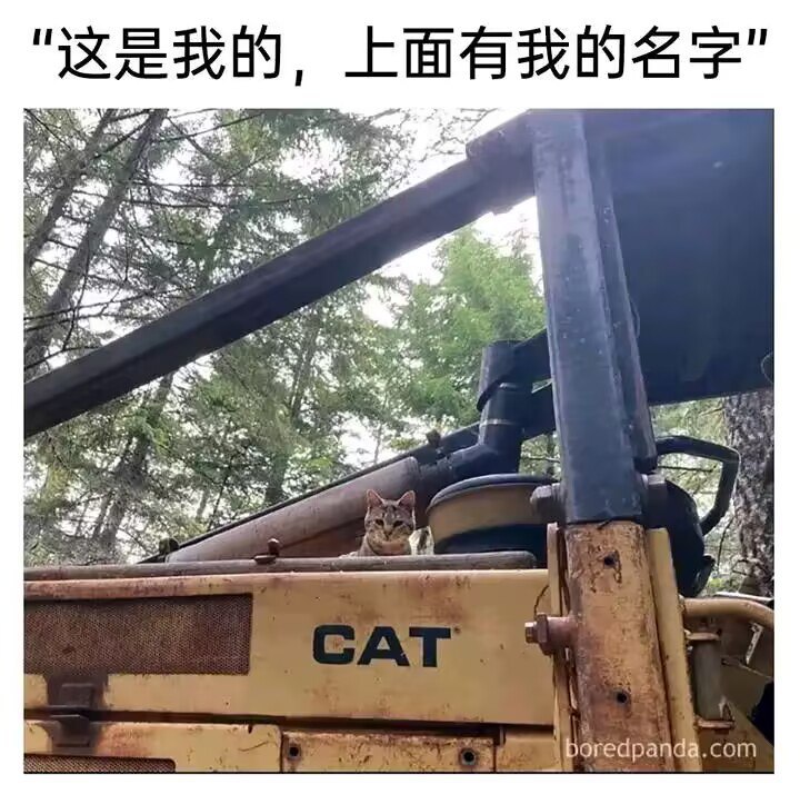 via DECADE