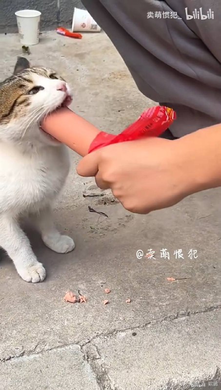 from 犯罪嫌疑人张某 via 犯罪嫌疑人张某from 犯罪嫌疑人张某 via 犯罪嫌疑人张某