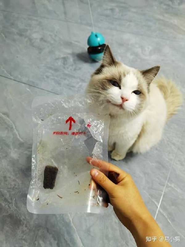 某天下班回家，发现我的牛肉干零食被偷了，我拿着满是牙印的包装袋、准备对案发现场和嫌疑猫拍个照，谁知道他竟然主动凑过来，一副你奈我何的表情另外，留了两颗牛肉不是因为记挂着铲屎官，是这货实在是吃撑了