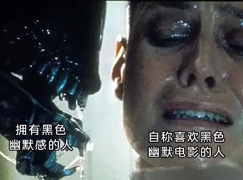 via 6号沙雕网友