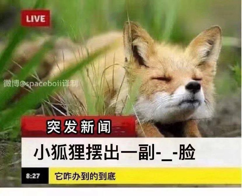 from 猫猫窝🐈🐈‍⬛️