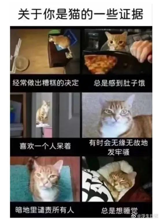 via 蒼瀾熙