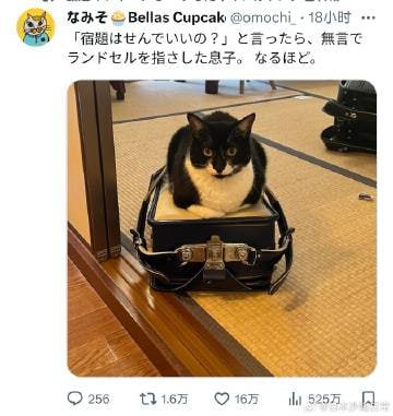问儿子你咋不做作业？结果儿子无言地指着书包