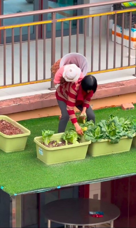 按1物业、街道和区政府和你一起尖叫from 什麼都來點 via DECADE按1物业、街道和区政府和你一起尖叫from 什麼都來點 via DECADE