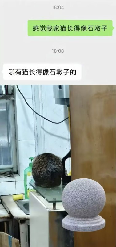 via 8号沙雕网友