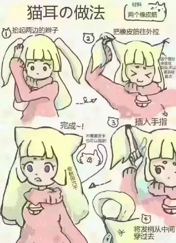 from 猫猫窝🐱