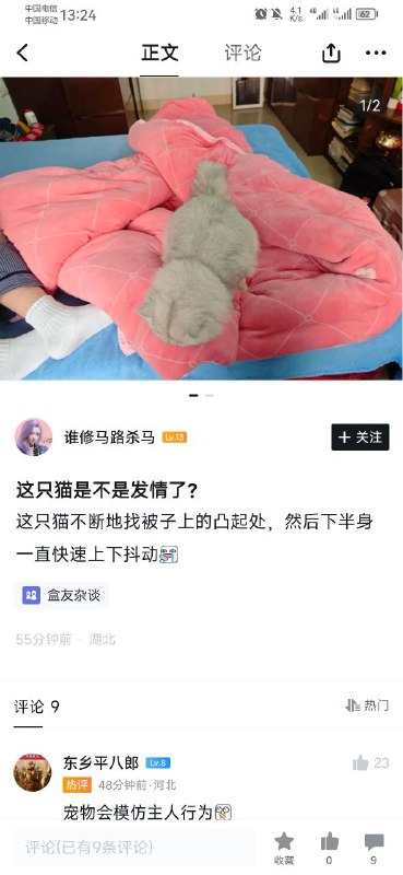 宠物会模仿主人的行为via Czk 半死不活