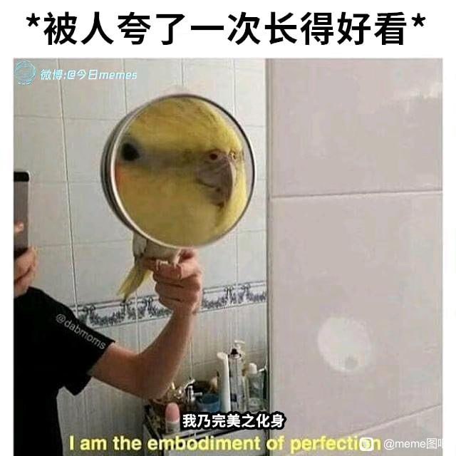 【meme宝箱】您获得的meme数量是...from TG空间🐱【meme宝箱】您获得的meme数量是...from TG空间🐱