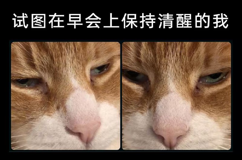 via 7号沙雕网友