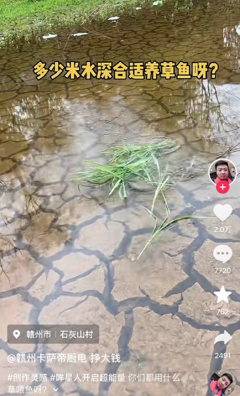 😅from 平壤卫视😅from 平壤卫视