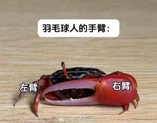 via 7号沙雕网友