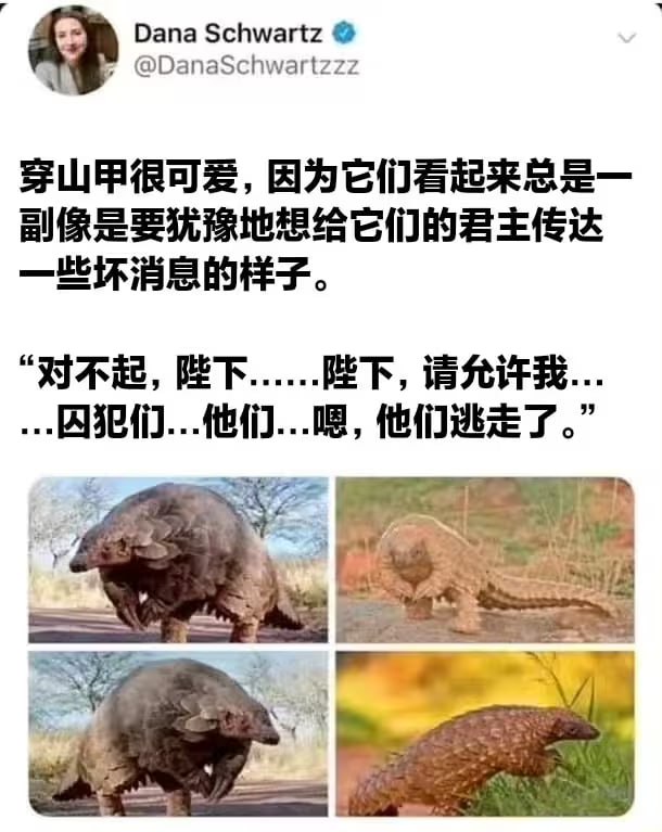 via 6号沙雕网友