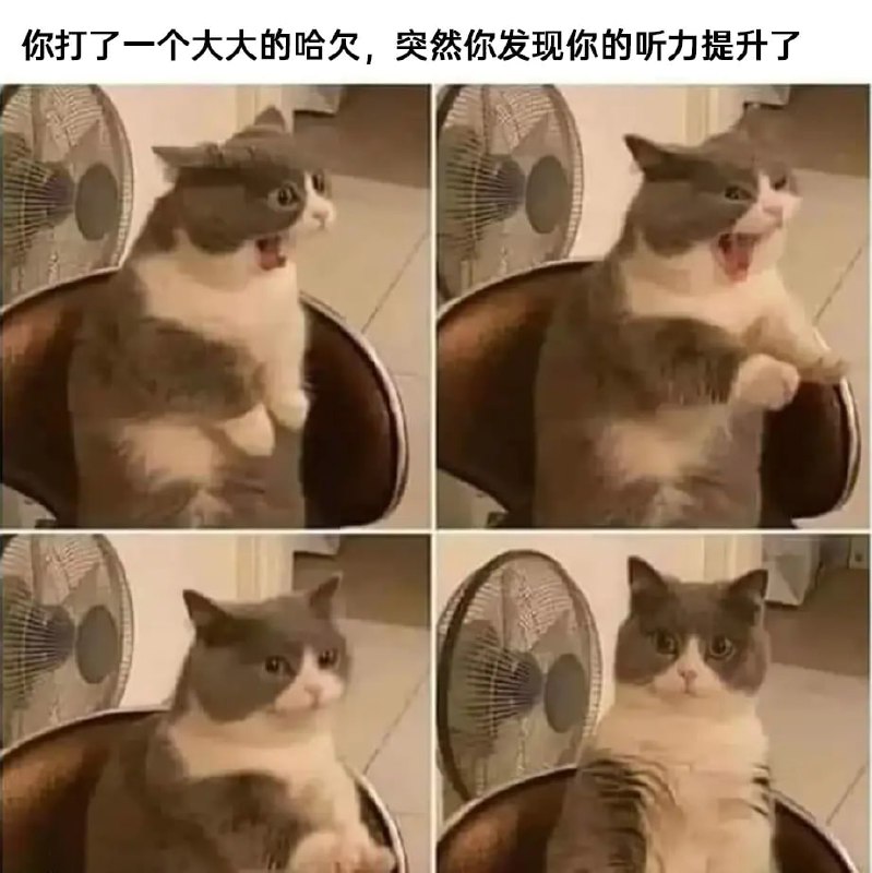 via 7号沙雕网友