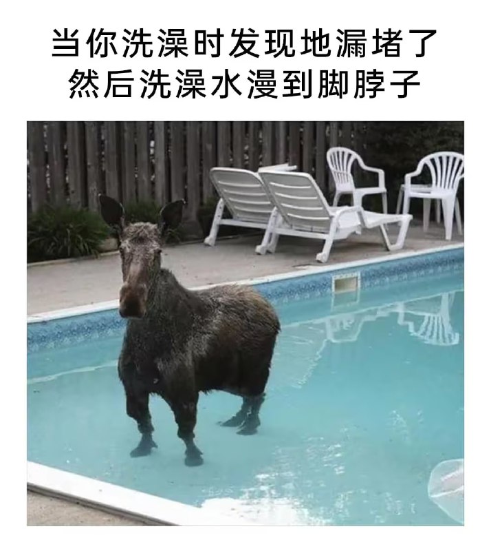 via 7号沙雕网友