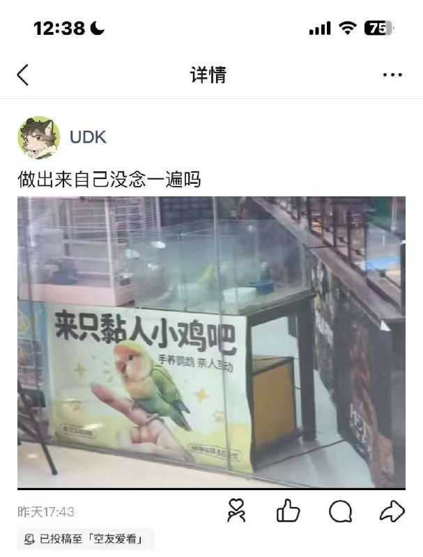 ……from 平壤卫视