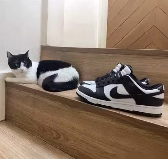 via 6号沙雕网友