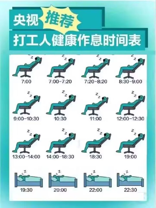 from 猫猫窝🐈🐈‍⬛from 猫猫窝🐈🐈‍⬛