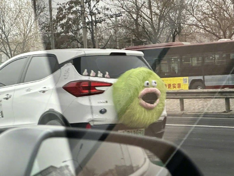 from 平壤卫视