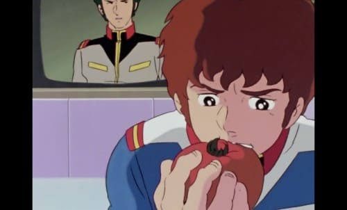 相隔43年的番茄圖進化#歡樂梗圖區from UMD(兔鼠)的謎島觀察日記（NSFW）相隔43年的番茄圖進化#歡樂梗圖區from UMD(兔鼠)的謎島觀察日記（NSFW）