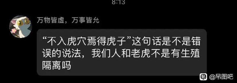 🤔from 平壤卫视