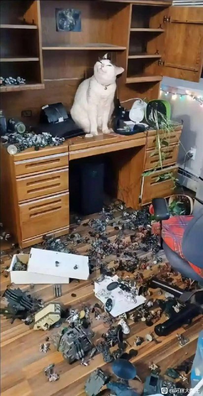 via 犯罪嫌疑人张某