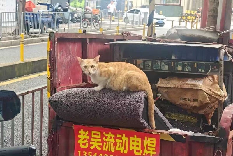 from QQ空间