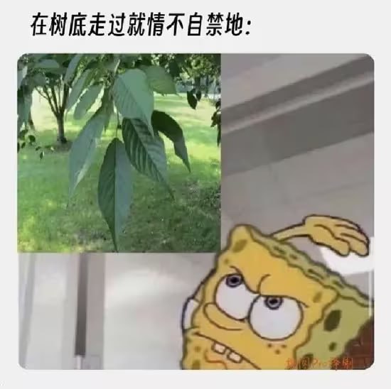 via 6号沙雕网友