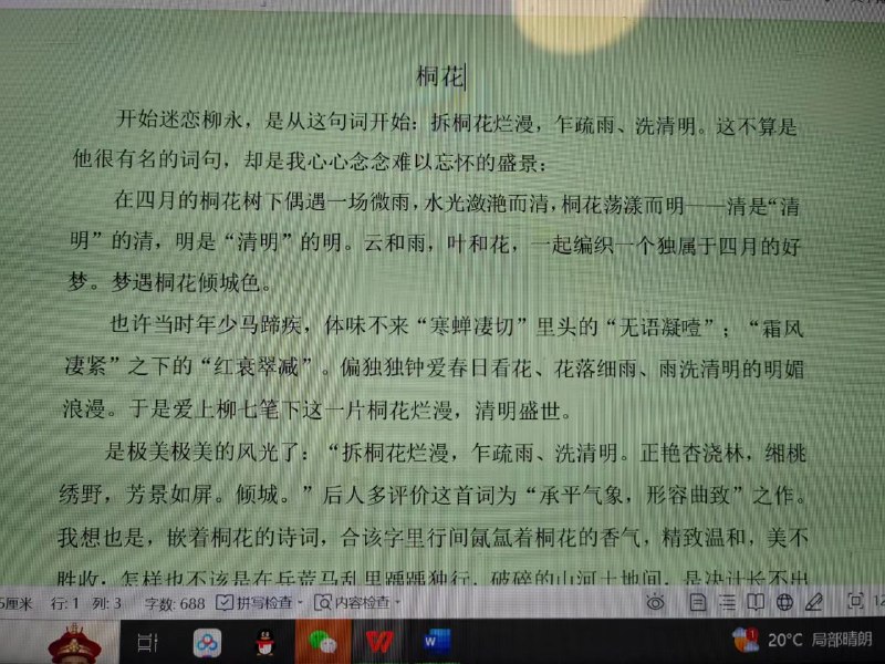 一个绝望的文盲
