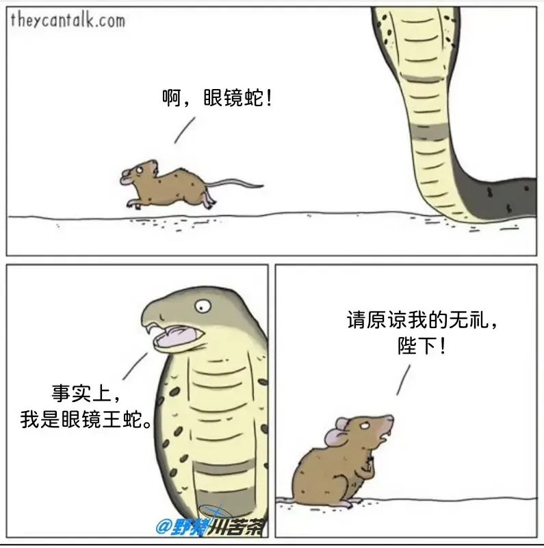 from 煎蛋无聊图