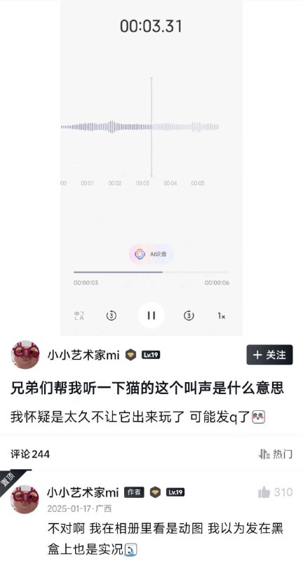 ？from 平壤卫视