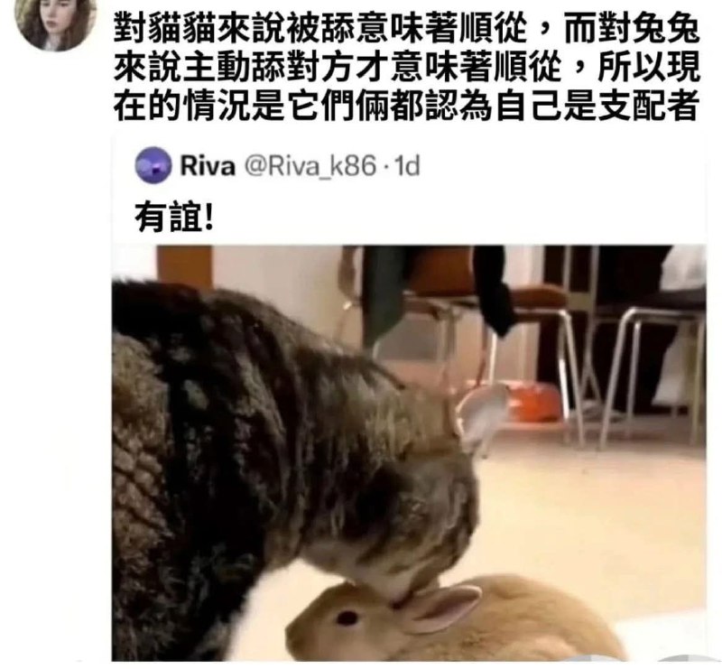 from 什麼都來點 via DECADE