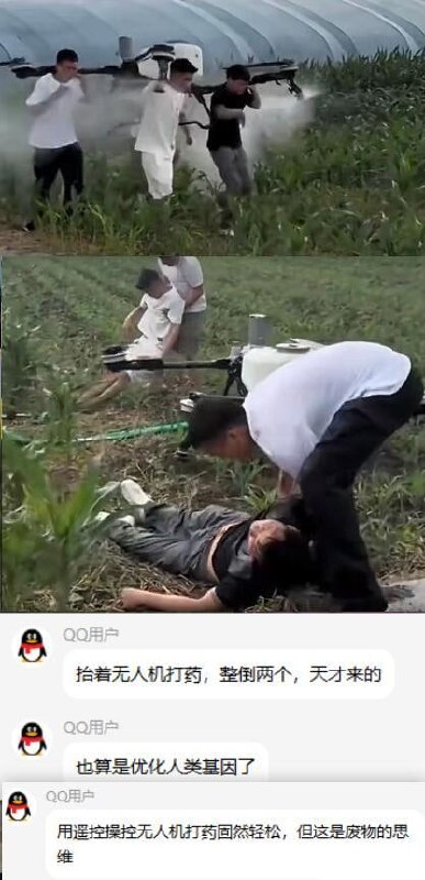 ？from 平壤卫视