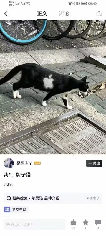 via 薯条
