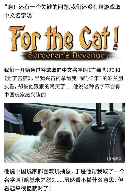 （情报是真的）via LDLD（情报是真的）via LDLD