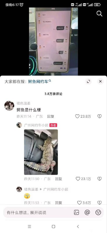 真鱷魚啊？🐊from 什麼都來點 via DECADE