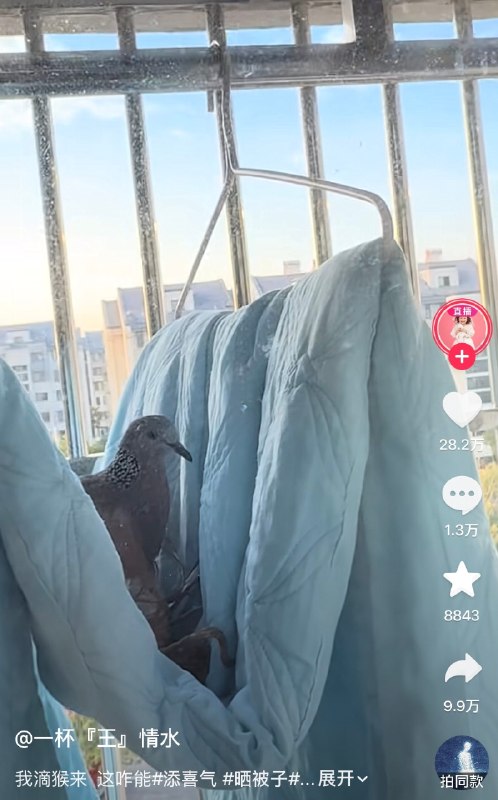 绷不住了😅from 平壤卫视绷不住了😅from 平壤卫视