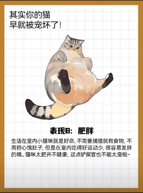 from 猫猫窝🐈🐈‍⬛from 猫猫窝🐈🐈‍⬛