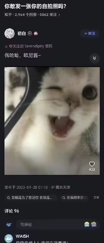 #群友投稿from 猫猫窝🐱
