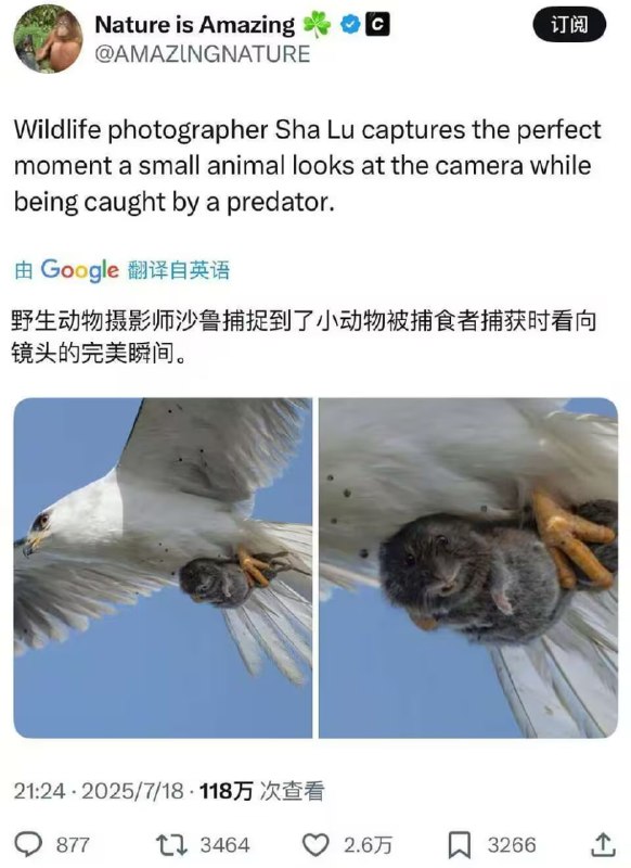 via 7号沙雕网友