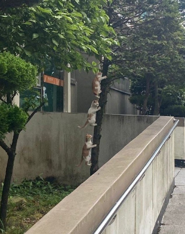 from 平壤卫视 via DECADEfrom 平壤卫视 via DECADE