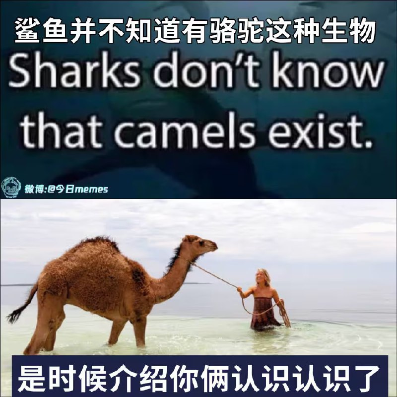 via 6号沙雕网友