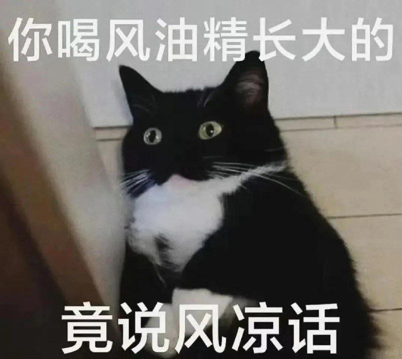 via 猫又云云