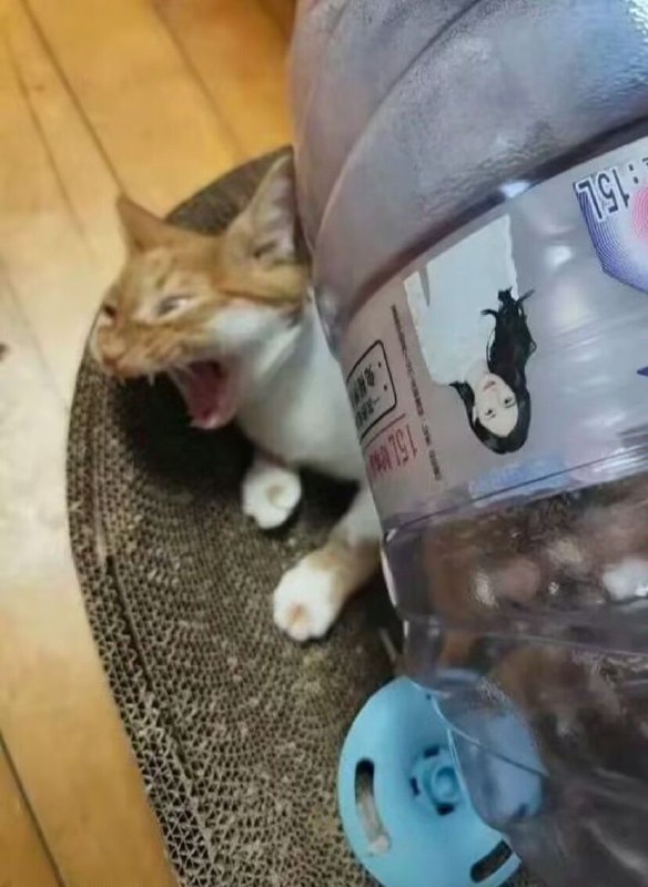 哈基米