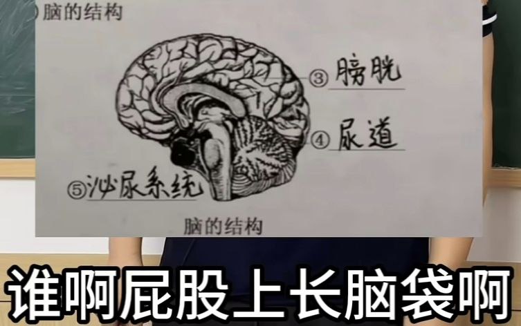 via Mr.Yan