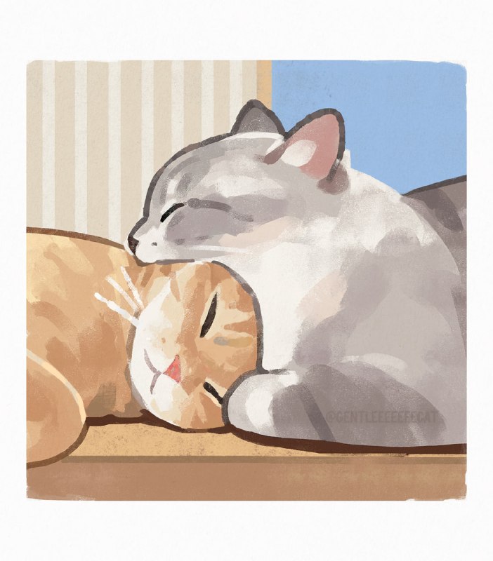 from 猫猫窝🐈🐈‍⬛️from 猫猫窝🐈🐈‍⬛️