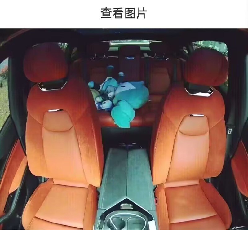 《活体生物》🥰via Van Vodkaer《活体生物》🥰via Van Vodkaer