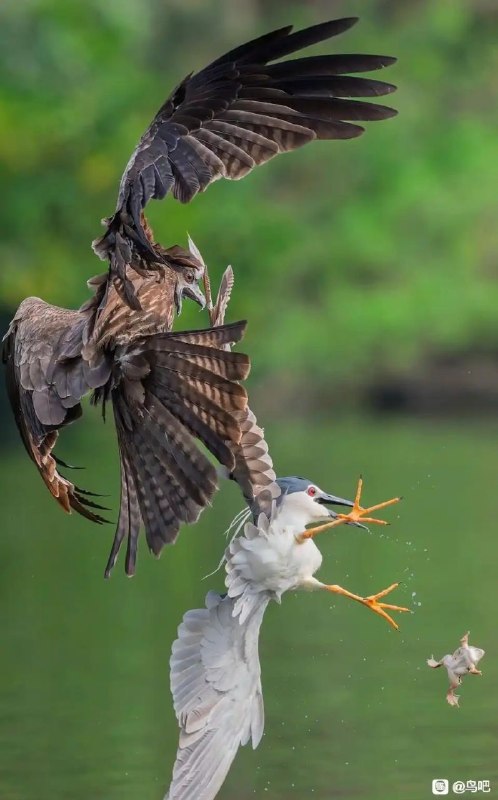 via 8号沙雕网友via 8号沙雕网友