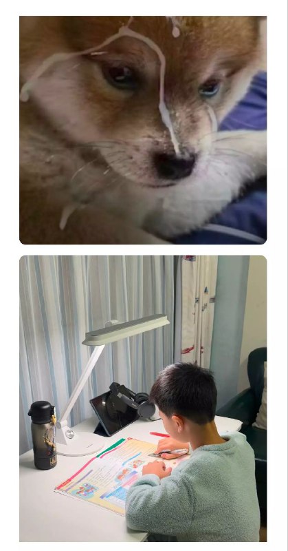 via 凌云via 凌云