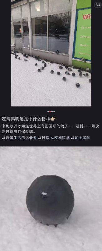 via 7号沙雕网友